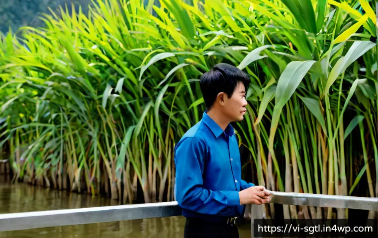 Cách chọn chất liệu cho digital storytelling: tiêu chí tăng tương tác và tránh lãng phí ngân sách nội dung 4 디지털 스토리에서 소재 선정의 중요성 관련 이미지 2